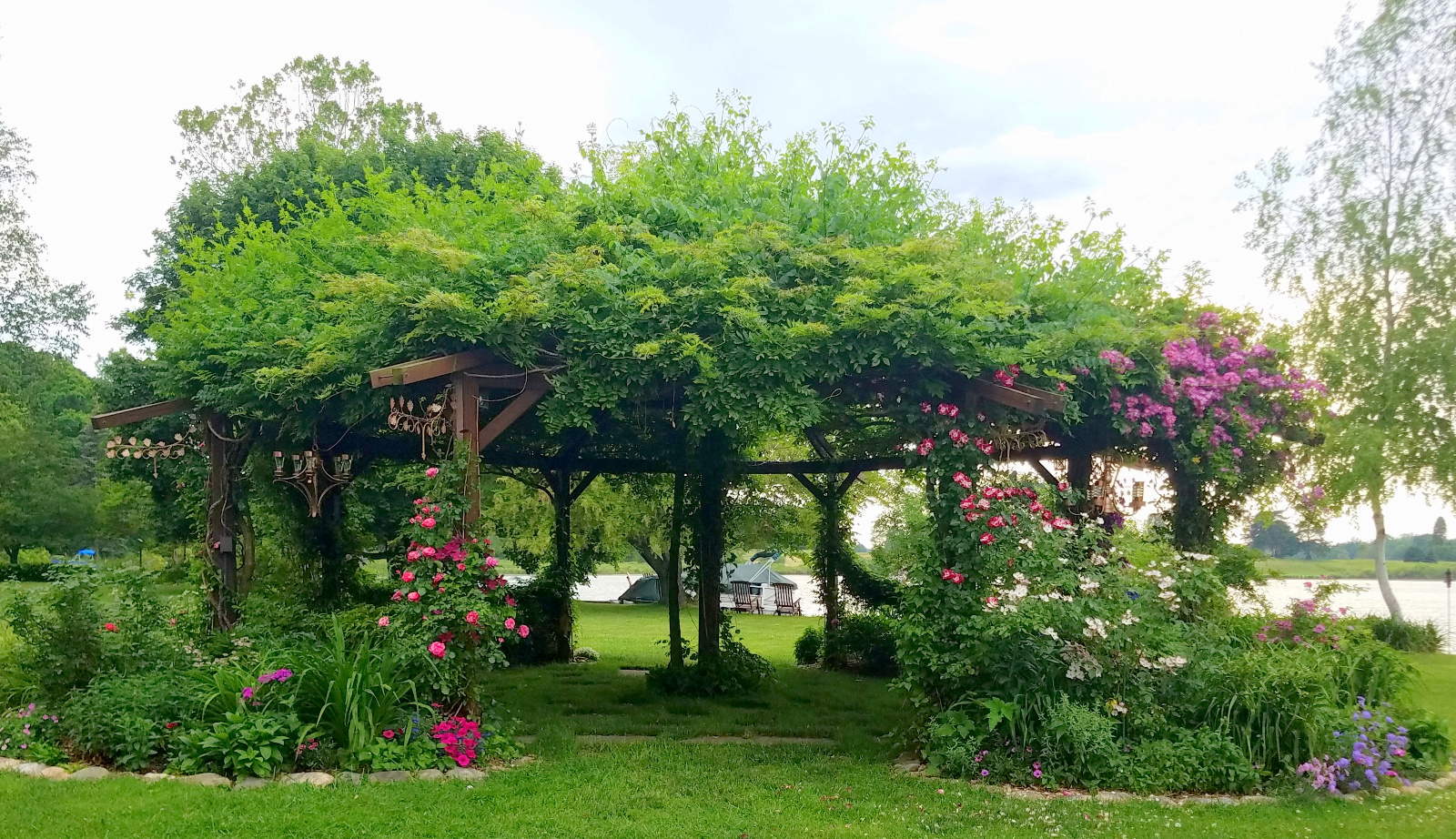 Roses, Clematis, Scabiosa, Petunia, Sweet Williams and Geranium in bloom